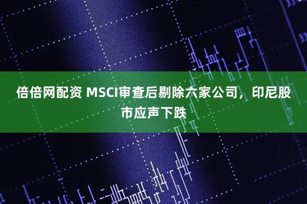 倍倍网配资 MSCI审查后剔除六家公司，印尼股市应声下跌